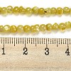 Natural White Shell Dyed Beads Strands BSHE-Z005-03F-4