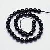 Natural Black Tourmaline Round Bead Strands G-I160-01-10mm-2