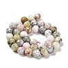 Natural African Opal Beads Strands G-K345-A03-03-3