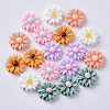 Resin Cabochons CRES-S306-015-1