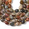 Natural Alashan Agate Beads Strands G-F809-A24-01-4