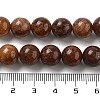 Natural Gemstone Beads Strands G-H045-A01-6MM-5
