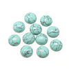 Synthetic Turquoise Cabochons G-R416-12mm-44-1