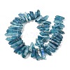 Electroplate Natural Nuggets Quartz Crystal Beads Strands G-O065-03C-1