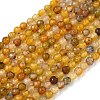 Natural Agate Beads Strands G-H302-A01-14-2