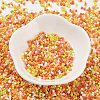 Baking Paint Glass Seed Beads X-SEED-S042-05B-44-2