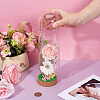 Glass Bell Jars AJEW-BC0010-64B-3
