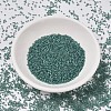 MIYUKI Delica Beads X-SEED-J020-DB1768-2