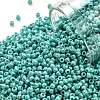 TOHO Round Seed Beads X-SEED-TR11-0413-1