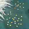 Preciosa® Crystal Hotfix Flatback Stones Y-PRC-HSS16-80250-1