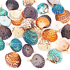 32Pcs 4 Colors Dyed Natural Shell Pendants PALLOY-AB00144-1