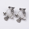 Natural Quartz Crystal Pendants G-E442-01O-1