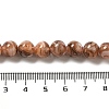 Freshwater Shell Beads Strands BSHE-L039-08B-04-4
