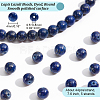 5 Strands Natural Lapis Lazuli Beads Strands G-NB0004-56-2