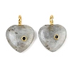 Natural Labradorite Pendants G-D104-01G-10-1