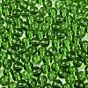 FGB Transparent Glass Seed Beads SEED-N013-01B-10-3