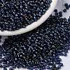 MIYUKI Round Rocailles Beads X-SEED-G008-RR3539-1