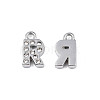 304 Stainless Steel Charms STAS-N095-137R-2