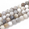 Natural Bamboo Leaf Agate Beads Strands X-G-T106-027-1