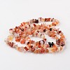 Nuggets Natural Agate Bead Strands G-M344-12-2
