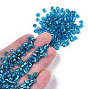 6/0 Glass Seed Beads SEED-A005-4mm-23B-4