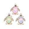 Alloy Glass Pendants PALLOY-N176-77KCG-1