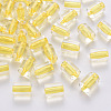 Transparent Acrylic Beads TACR-S154-17A-81-1