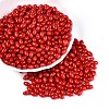 Baking Paint Glass Seed Beads SEED-T007-15I-3