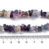 Natural Fluorite Chip Bead Strands G-M205-08-4