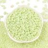 Baking Paint Glass Seed Beads SEED-L011-09A-21-2