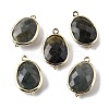 Natural Labradorite Faceted Oval Connector Charms G-H323-02G-09-1