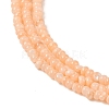 Natural Freshwater Shell Beads Strands SHEL-P017-01A-12-3