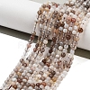 Natural Botswana Agate Beads Strands G-G143-A02-01-2