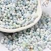 Two Tone Baking Paint Glass Seed Beads SEED-F005-01A-13-1