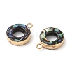 Natural Paua Shell Pendants SHEL-P017-18G-2