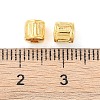Tibetan Style Alloy Beads LS-K08ZS011-2