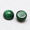 Dome Natural Malachite Cabochons G-O146-03B-2