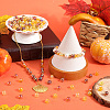 Thanksgiving Day Themed Transparent Acrylic Beads MACR-SP0001-32B-4