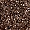 MIYUKI Round Rocailles Beads SEED-G009-RR0641-2