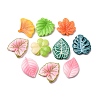 Opaque Resin Cabochons FIND-E058-01-1