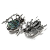 Dual-use Items Alloy Insects Brooch JEWB-C026-05M-AS-2
