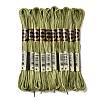 10 Skeins 6-Ply Polyester Embroidery Floss OCOR-K006-A33-1