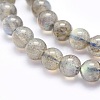 Natural Labradorite Beads Strands G-O166-08-6mm-3
