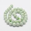 Natural Myanmar Jade/Burmese Jade Beads Strands G-F306-13-10mm-2