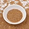 MIYUKI Delica Beads SEED-X0054-DB1778-2