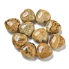 Natural Crazy Lace Agate Beads G-P531-A19-01-1