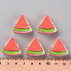 Transparent Enamel Acrylic Beads TACR-S155-001A-4