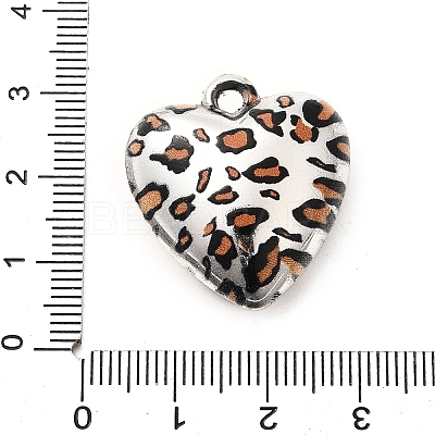 Acrylic Pendants OACR-S043-04C-1