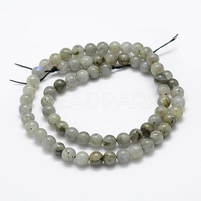 Natural Labradorite Beads Strands G-P322-29-6mm-1