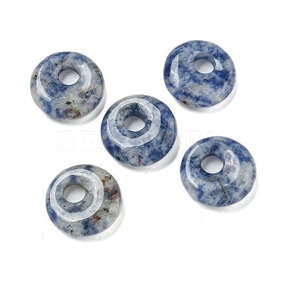 Natural Blue Spot Jasper Donut/Pi Disc Charms G-G142-02E-1